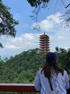 包含重庆北碚缙云山旅游攻略的词条