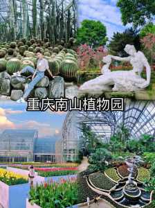 重庆南山植物园持续时间