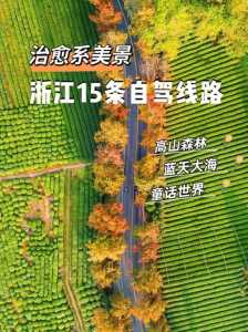 浙江最佳10条自驾游线路