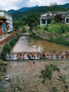 岳西县旅游景点岳西县旅游景点