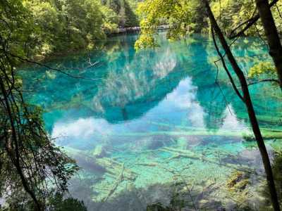 去九寨沟旅游有哪些详细的攻略可以分享?