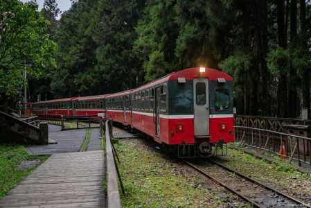 阿里山导游带交通指南