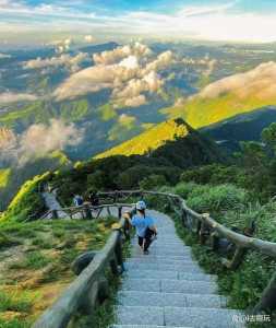 深圳一日游攻略深圳一日游必去的地方