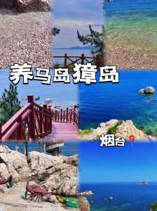 去獐子岛旅游,有什么实用的游玩攻略?