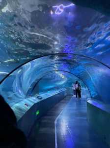 南京海底世界旅游攻略？南京海底世界门票多少？